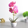 Orhidee cu aspect natural in ghiveci ceramic, 33 cm, Naimeed D4851, Magenta Orhidee cu aspect natural in ghiveci ceramic, 33 cm, Naimeed D4851, Magenta