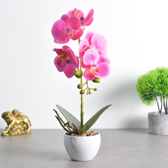 Orhidee cu aspect natural in ghiveci ceramic, 33 cm, Naimeed D4851, Magenta Orhidee cu aspect natural in ghiveci ceramic, 33 cm, Naimeed D4851, Magenta