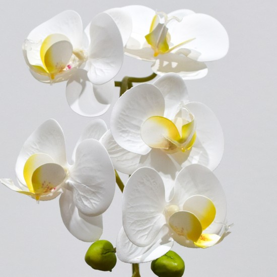Orhidee cu aspect natural in ghiveci ceramic, 33 cm, Naimeed D4851, Alb