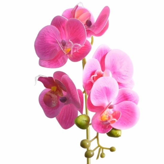 Orhidee cu aspect natural in ghiveci ceramic, 33 cm, Naimeed D4851, Magenta Orhidee cu aspect natural in ghiveci ceramic, 33 cm, Naimeed D4851, Magenta