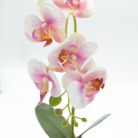 Orhidee cu aspect natural in ghiveci ceramic, 33 cm, Naimeed D4851, Roz Orhidee cu aspect natural in ghiveci ceramic, 33 cm, Naimeed D4851, Roz