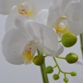 Orhidee cu aspect natural in ghiveci ceramic, 49 cm, Naimeed D4852, Alb