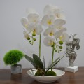 Orhidee cu aspect natural in ghiveci ceramic, 49 cm, Naimeed D4852, Alb