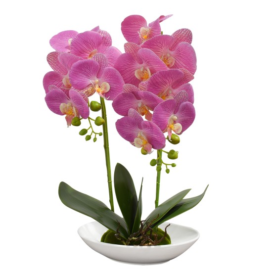 Orhidee cu aspect natural in ghiveci ceramic, 49 cm, Naimeed D4852, Magenta