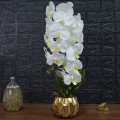 Orhidee cu aspect natural in ghiveci ceramic, 60 cm, Naimeed D4854, Alb