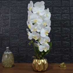 Orhidee cu aspect natural in ghiveci ceramic, 60 cm, Naimeed D4854, Alb