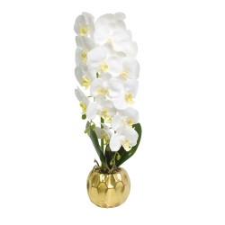 Orhidee cu aspect natural in ghiveci ceramic, 60 cm, Naimeed D4854, Alb