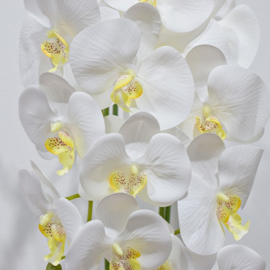 Orhidee cu aspect natural in ghiveci ceramic, 60 cm, Naimeed D4854, Alb