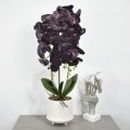 Orhidee cu aspect natural in ghiveci ceramic, 70 cm, Naimeed D4855, Mov