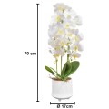 Orhidee cu aspect natural in ghiveci ceramic, 70 cm, Naimeed D4855, Alb