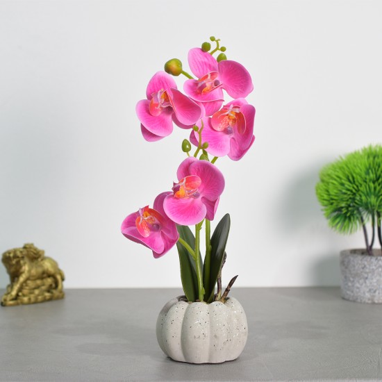 Orhidee cu aspect natural in ghiveci ceramic, 30 cm, Naimeed D4856, Magenta Orhidee cu aspect natural in ghiveci ceramic, 30 cm, Naimeed D4856, Magenta