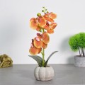 Orhidee cu aspect natural in ghiveci ceramic, 30 cm, Naimeed D4856, Portocaliu Orhidee cu aspect natural in ghiveci ceramic, 30 cm, Naimeed D4856, Portocaliu