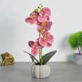 Orhidee cu aspect natural in ghiveci ceramic, 30 cm, Naimeed D4856, Roz Inchis Orhidee cu aspect natural in ghiveci ceramic, 30 cm, Naimeed D4856, Roz Inchis