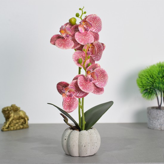 Orhidee cu aspect natural in ghiveci ceramic, 30 cm, Naimeed D4856, Roz Inchis Orhidee cu aspect natural in ghiveci ceramic, 30 cm, Naimeed D4856, Roz Inchis