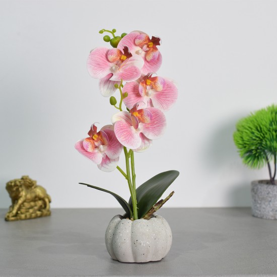 Orhidee cu aspect natural in ghiveci ceramic, 30 cm, Naimeed D4856, Roz Orhidee cu aspect natural in ghiveci ceramic, 30 cm, Naimeed D4856, Roz