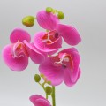 Orhidee cu aspect natural in ghiveci ceramic, 30 cm, Naimeed D4856, Magenta Orhidee cu aspect natural in ghiveci ceramic, 30 cm, Naimeed D4856, Magenta