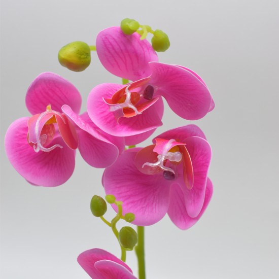 Orhidee cu aspect natural in ghiveci ceramic, 30 cm, Naimeed D4856, Magenta Orhidee cu aspect natural in ghiveci ceramic, 30 cm, Naimeed D4856, Magenta
