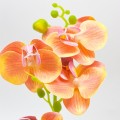 Orhidee cu aspect natural in ghiveci ceramic, 30 cm, Naimeed D4856, Portocaliu Orhidee cu aspect natural in ghiveci ceramic, 30 cm, Naimeed D4856, Portocaliu