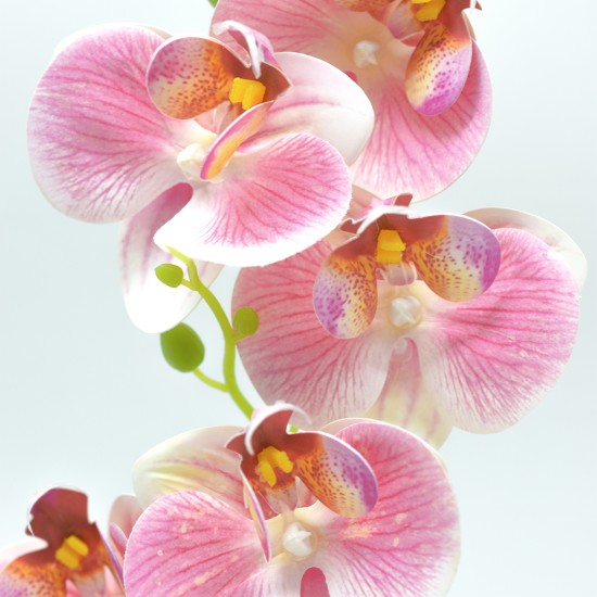 Orhidee cu aspect natural in ghiveci ceramic, 30 cm, Naimeed D4856, Roz Orhidee cu aspect natural in ghiveci ceramic, 30 cm, Naimeed D4856, Roz