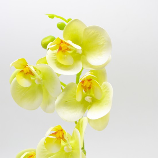 Orhidee cu aspect natural in ghiveci ceramic, 30 cm, Naimeed D4856, Verde