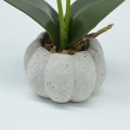 Orhidee cu aspect natural in ghiveci ceramic, 30 cm, Naimeed D4856, Roz Inchis Orhidee cu aspect natural in ghiveci ceramic, 30 cm, Naimeed D4856, Roz Inchis