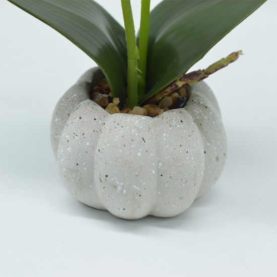 Orhidee cu aspect natural in ghiveci ceramic, 30 cm, Naimeed D4856, Roz Inchis Orhidee cu aspect natural in ghiveci ceramic, 30 cm, Naimeed D4856, Roz Inchis