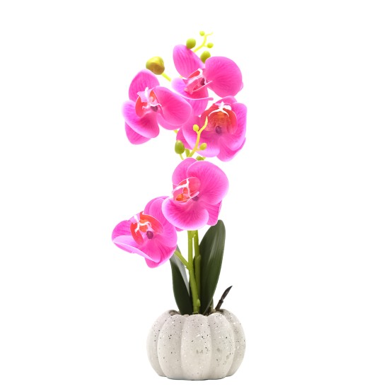 Orhidee cu aspect natural in ghiveci ceramic, 30 cm, Naimeed D4856, Magenta Orhidee cu aspect natural in ghiveci ceramic, 30 cm, Naimeed D4856, Magenta