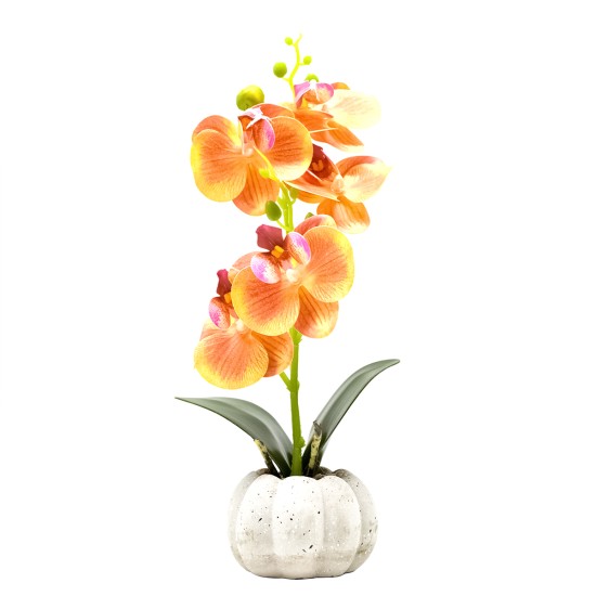 Orhidee cu aspect natural in ghiveci ceramic, 30 cm, Naimeed D4856, Portocaliu Orhidee cu aspect natural in ghiveci ceramic, 30 cm, Naimeed D4856, Portocaliu