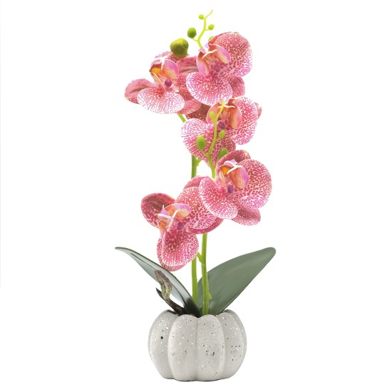 Orhidee cu aspect natural in ghiveci ceramic, 30 cm, Naimeed D4856, Roz Inchis Orhidee cu aspect natural in ghiveci ceramic, 30 cm, Naimeed D4856, Roz Inchis
