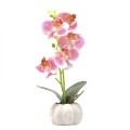 Orhidee cu aspect natural in ghiveci ceramic, 30 cm, Naimeed D4856, Roz Orhidee cu aspect natural in ghiveci ceramic, 30 cm, Naimeed D4856, Roz