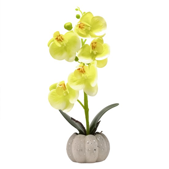 Orhidee cu aspect natural in ghiveci ceramic, 30 cm, Naimeed D4856, Verde