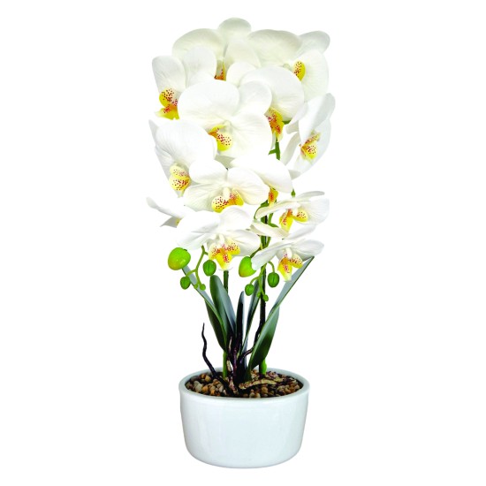Orhidee cu aspect natural in ghiveci ceramic, 50 cm, Naimeed D5819, Alb Orhidee cu aspect natural in ghiveci ceramic, 50 cm, Naimeed D5819, Alb
