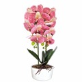 Orhidee cu aspect natural in ghiveci ceramic, 50 cm, Naimeed D5819, Mov Orhidee cu aspect natural in ghiveci ceramic, 50 cm, Naimeed D5819, Mov