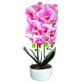 Orhidee cu aspect natural in ghiveci ceramic, 50 cm, Naimeed D5819, Roz Orhidee cu aspect natural in ghiveci ceramic, 50 cm, Naimeed D5819, Roz