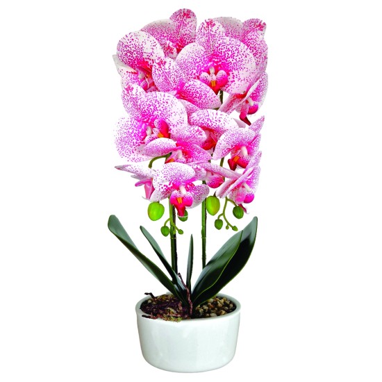 Orhidee cu aspect natural in ghiveci ceramic, 50 cm, Naimeed D5819, Roz Orhidee cu aspect natural in ghiveci ceramic, 50 cm, Naimeed D5819, Roz