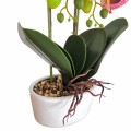 Orhidee cu aspect natural in ghiveci ceramic, 50 cm, Naimeed D5819, Mov Orhidee cu aspect natural in ghiveci ceramic, 50 cm, Naimeed D5819, Mov