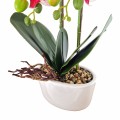 Orhidee cu aspect natural in ghiveci ceramic, 50 cm, Naimeed D5819, Roz Orhidee cu aspect natural in ghiveci ceramic, 50 cm, Naimeed D5819, Roz