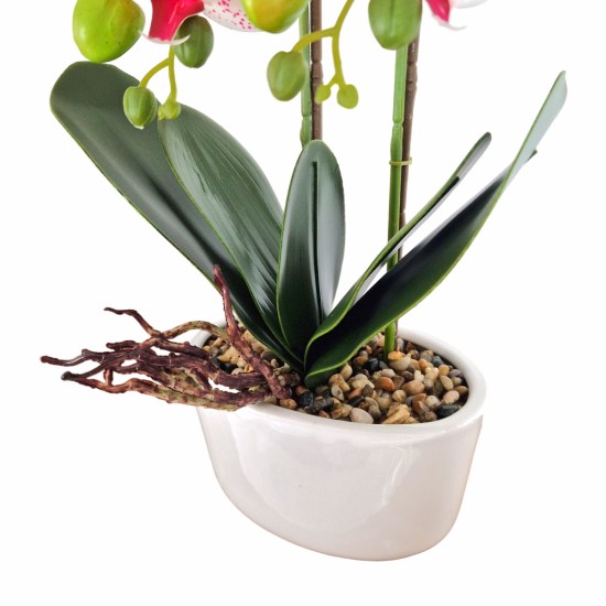 Orhidee cu aspect natural in ghiveci ceramic, 50 cm, Naimeed D5819, Roz Orhidee cu aspect natural in ghiveci ceramic, 50 cm, Naimeed D5819, Roz