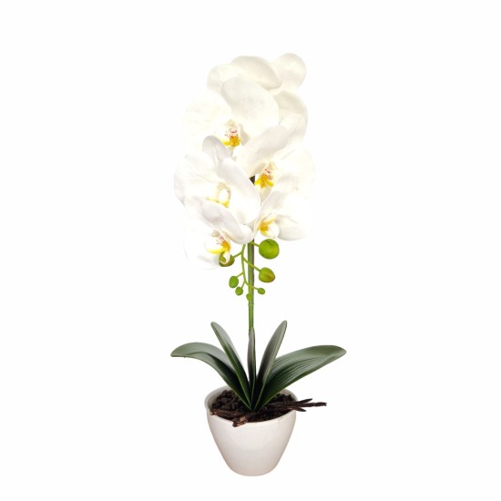 Orhidee cu aspect natural in ghiveci ceramic, 46 cm, Naimeed D5820, Alb Orhidee cu aspect natural in ghiveci ceramic, 46 cm, Naimeed D5820, Alb