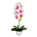 Orhidee cu aspect natural in ghiveci ceramic, 46 cm, Naimeed D5820, Alb Roziu