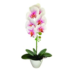 Orhidee cu aspect natural in ghiveci ceramic, 46 cm, Naimeed D5820, Alb Roziu