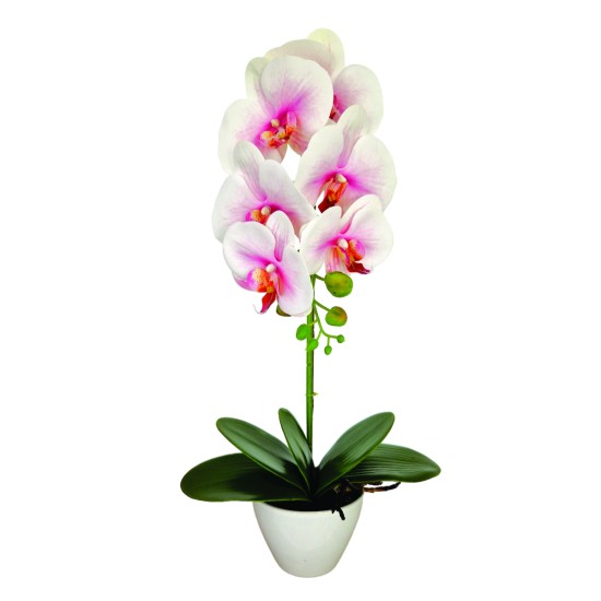 Orhidee cu aspect natural in ghiveci ceramic, 46 cm, Naimeed D5820, Alb Roziu
