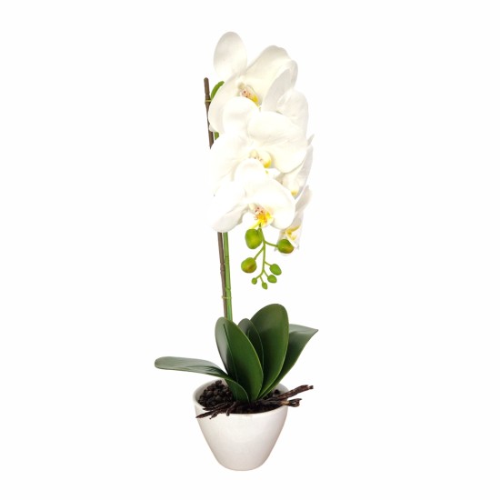 Orhidee cu aspect natural in ghiveci ceramic, 46 cm, Naimeed D5820, Alb Orhidee cu aspect natural in ghiveci ceramic, 46 cm, Naimeed D5820, Alb