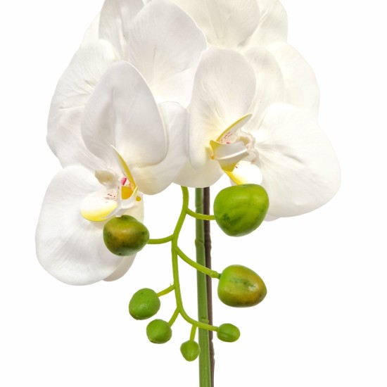 Orhidee cu aspect natural in ghiveci ceramic, 46 cm, Naimeed D5820, Alb Orhidee cu aspect natural in ghiveci ceramic, 46 cm, Naimeed D5820, Alb