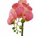 Orhidee cu aspect natural in ghiveci ceramic, 46 cm, Naimeed D5820, Roz