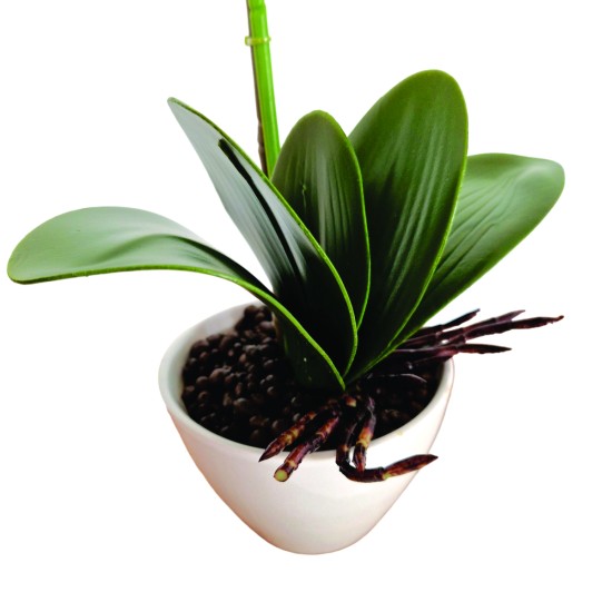Orhidee cu aspect natural in ghiveci ceramic, 46 cm, Naimeed D5820, Alb Orhidee cu aspect natural in ghiveci ceramic, 46 cm, Naimeed D5820, Alb