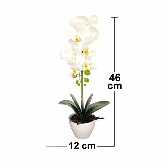 Orhidee cu aspect natural in ghiveci ceramic, 46 cm, Naimeed D5820, Alb Orhidee cu aspect natural in ghiveci ceramic, 46 cm, Naimeed D5820, Alb