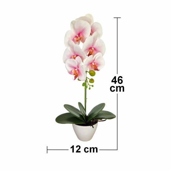 Orhidee cu aspect natural in ghiveci ceramic, 46 cm, Naimeed D5820, Alb Roziu