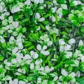 Panou din plante artificiale, cu frunze, Naimeed D5895, Alb-Verde, 600x400mm Panou din plante artificiale, cu frunze, Naimeed D5895, Alb-Verde, 600x400mm