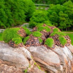 Set 6 x Pietre decorative din polistiren, aspect natural, usor de curatat, Naimeed D6529